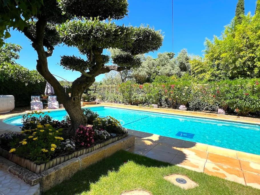 Le Jardin De Mae Apartment Bouc-Bel-Air Exterior photo